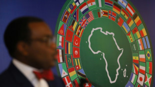 'Resilient' Africa set for growth rebound: ADB