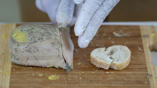 Le foie gras sera au rendez-vous des fêtes, le secteur se relève doucement de la grippe aviaire