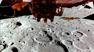 Private US spaceship lands on Moon