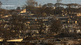 Incendies à Hawaï: le bilan grimpe à 99 morts et "pourrait doubler"