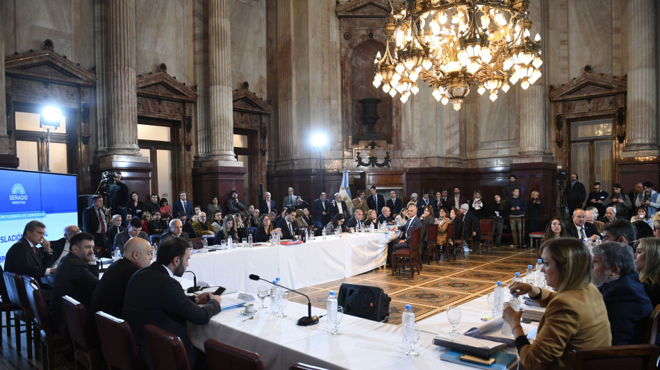 Avanza in Senato la Legge Base chiave del governo argentino