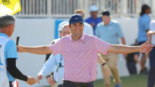 Scheffler wins WGC Match Play to take World No.1 ranking