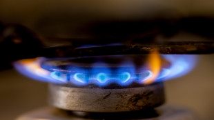 Il prezzo del gas apre in calo dello 48,80 euro