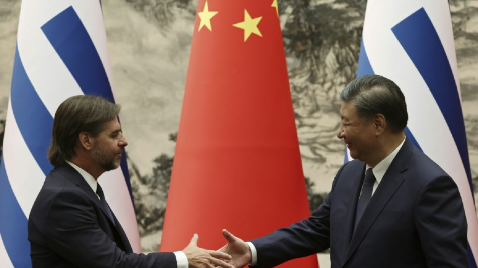 Tres toros regalo del presidente uruguayo a Xi parten hacia China