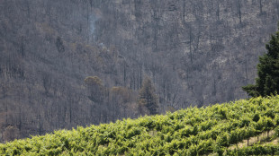 Morto Edi Simcic, pioniere del vino del Collio sloveno