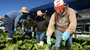 Trump's deportation threats send shivers through farmworkers