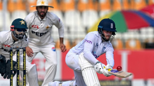 Duckett half-century as England make brisk reply to Pakistan's 366