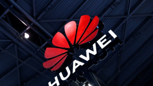 Taiwan to probe firms over Huawei chip plants in China