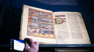 Priceless ninth-century masterpiece Bible returns to Swiss homeland