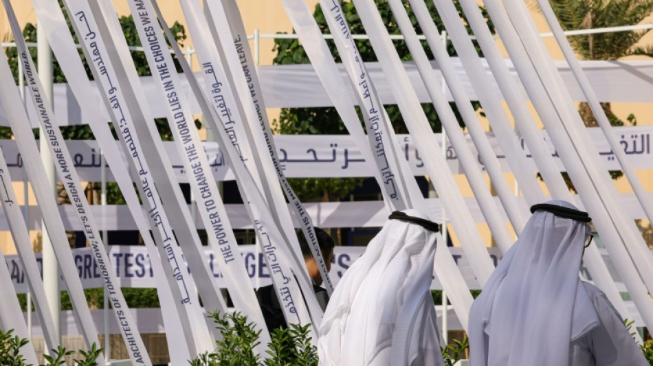 COP28 head presses nations to reach climate 'compromise'