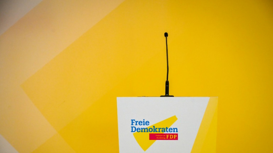 FDP fordert von Rot-grün Zustimmung zu Steuerentlastungen