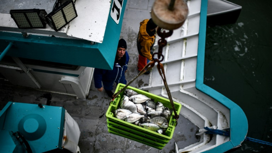 WTO 'cautiously optimistic' on fisheries, agriculture deals