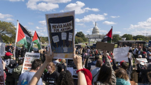 Manifestantes ocupam prédio do Congresso dos EUA para exigir cessar-fogo em Gaza