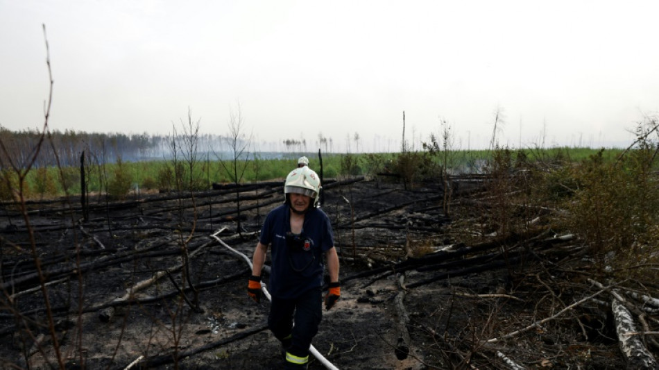 Deutschland steuert auf Rekordjahr bei Waldbränden zu