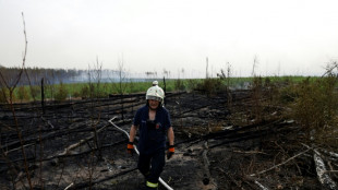 Deutschland steuert auf Rekordjahr bei Waldbränden zu