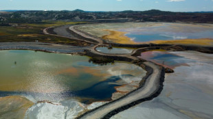 Litio, cobalto, níquel, tierras raras... España busca relanzar su sector minero