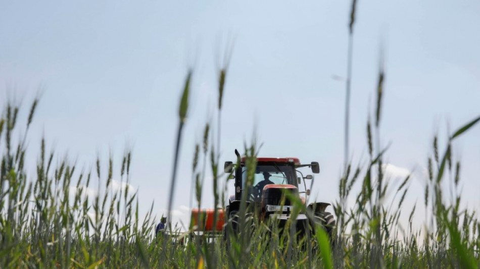 Schonendere Verfahren lösen klassischen Pflug in der Landwirtschaft zunehmend ab