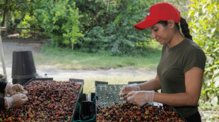 The global forces sending coffee prices skyward