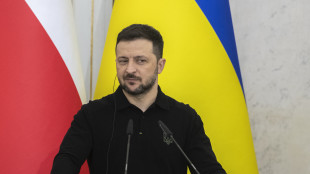 Zelensky, 'l'Ue abbia una posizione comune, no alle divisioni'