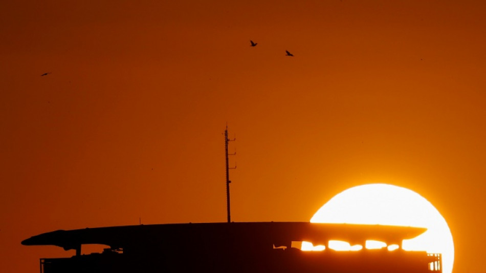 Hausrotschwanz zu Vogel des Jahres 2025 gekürt