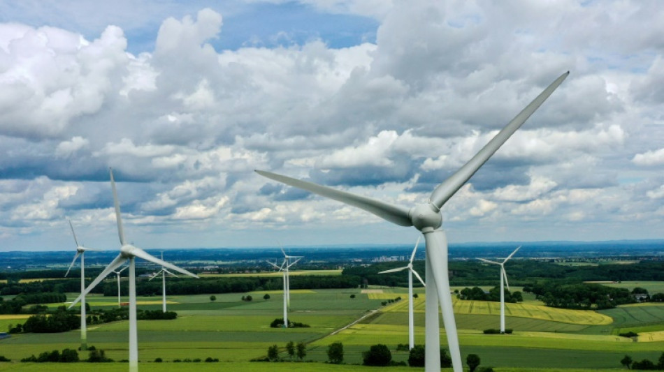 Klima-Allianz beklagt: Klimaschutz im aktuellen Wahlkampf "nur Randnotiz"