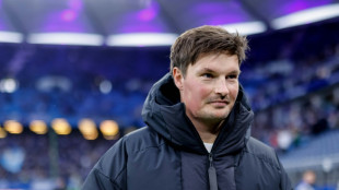 Polzin zum HSV-Chefcoach befördert 