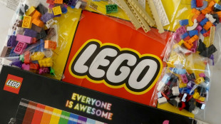 2024, une année "record" pour Lego