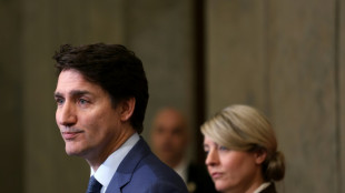 Partido Liberal vota para substituir Trudeau como premier